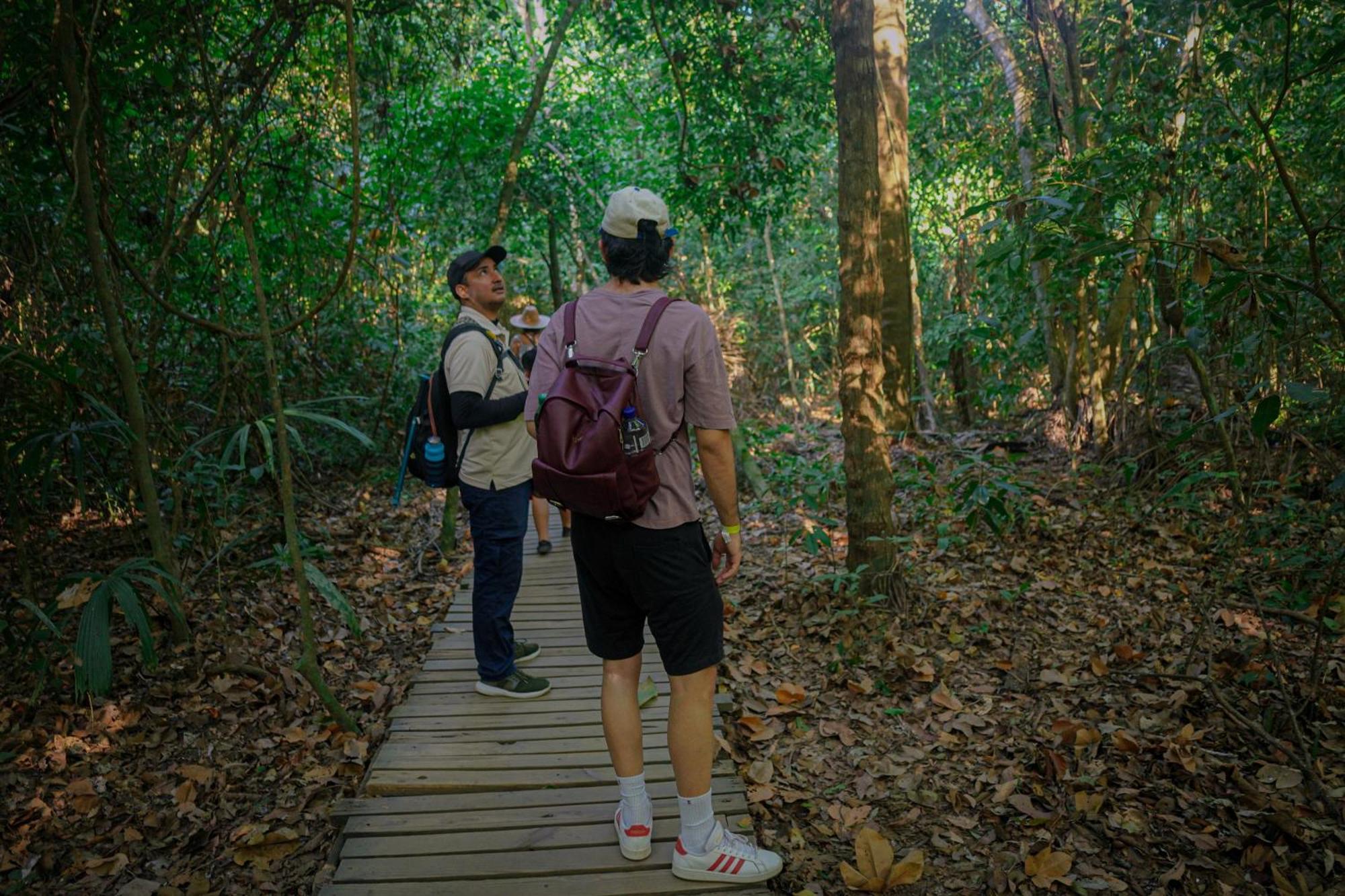 Ecohotel Yachay Tayrona Dentro Del Parque Tayrona El Zaino Buitenkant foto