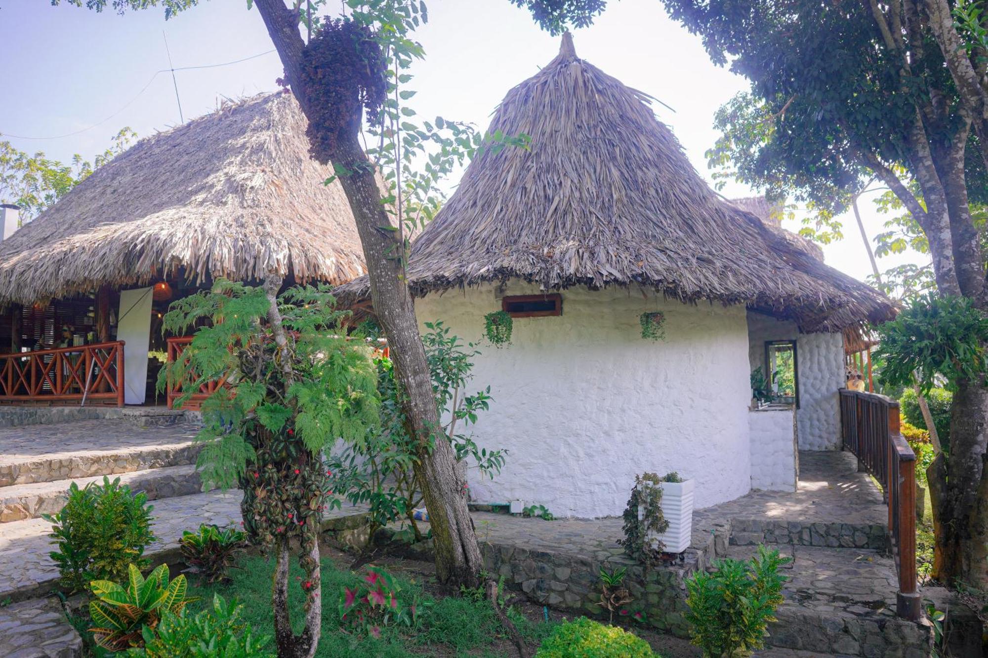 Ecohotel Yachay Tayrona Dentro Del Parque Tayrona El Zaino Buitenkant foto