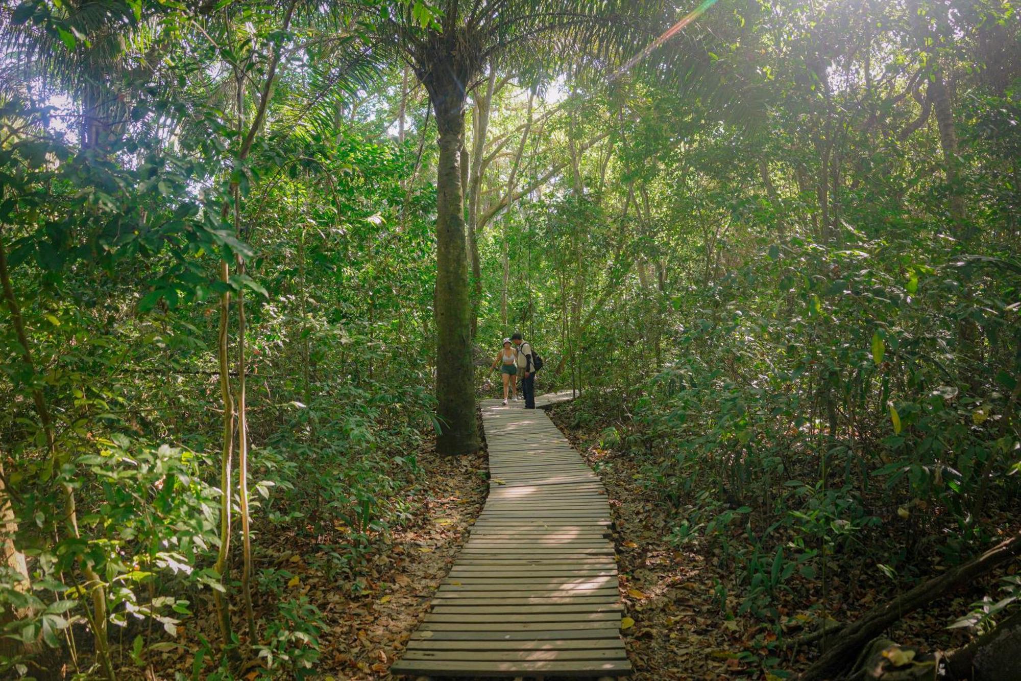 Ecohotel Yachay Tayrona Dentro Del Parque Tayrona El Zaino Buitenkant foto
