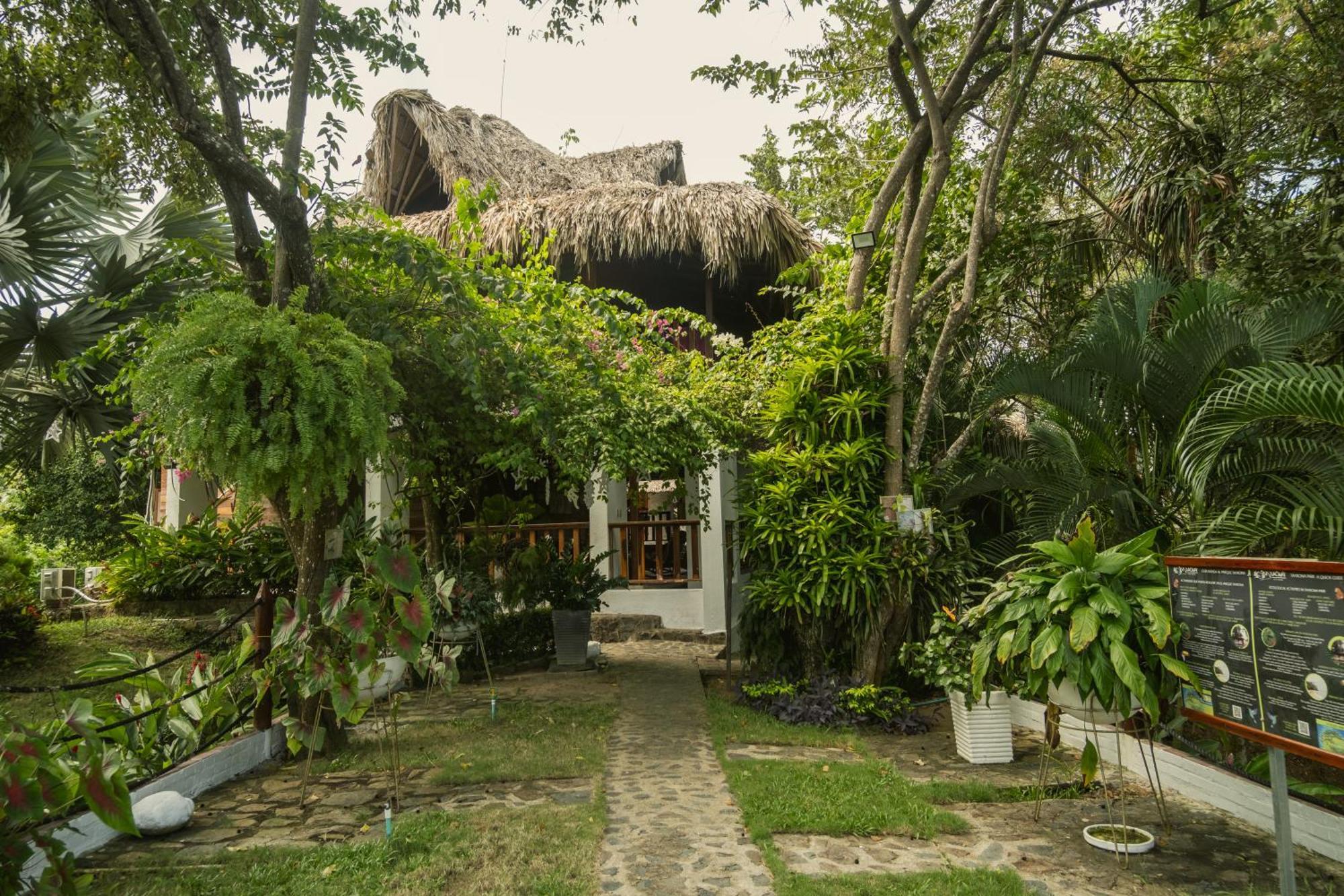 Ecohotel Yachay Tayrona Dentro Del Parque Tayrona El Zaino Buitenkant foto